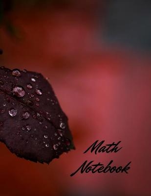 Math Notebook - Josh Robinett