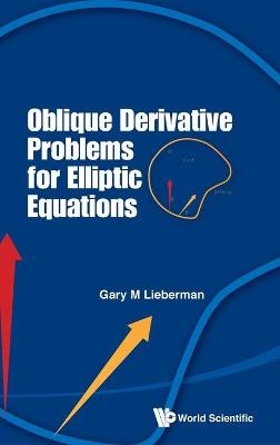 Oblique Derivative Problems For Elliptic Equations - Gary M Lieberman
