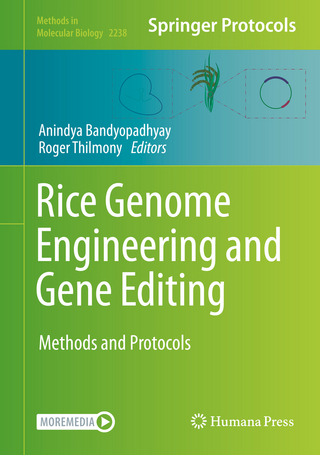 Rice Genome Engineering and Gene Editing