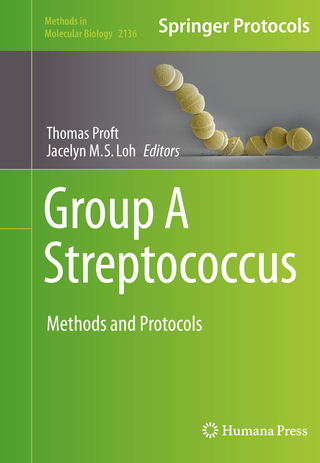Group A Streptococcus