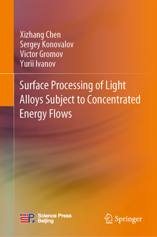 Surface Processing of Light Alloys Subject to Concentrated Energy Flows