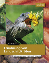 Ernährung von Landschildkröten - Dennert, Carolin