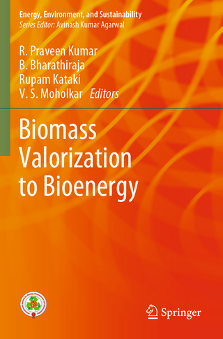 Biomass Valorization to Bioenergy