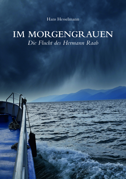 Im Morgengrauen - Hans Hesselmann