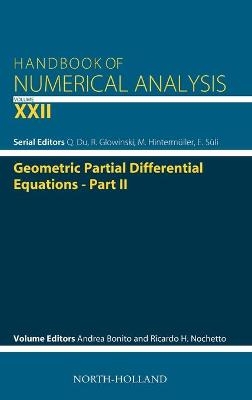 Geometric Partial Differential Equations - Part 2
