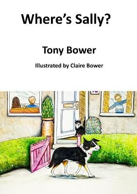 Where's Sally? - Tony Bower