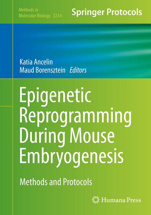 Epigenetic Reprogramming During Mouse Embryogenesis - 