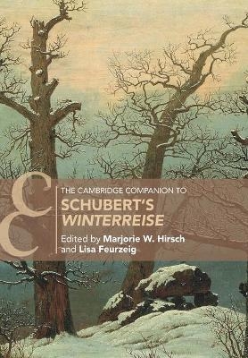 The Cambridge Companion to Schubert's &lsquo;Winterreise' - 