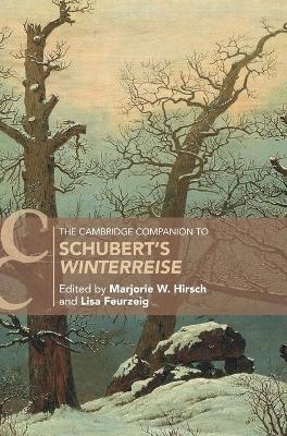 The Cambridge Companion to Schubert's &lsquo;Winterreise' - 