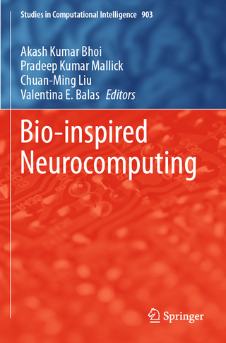Bio-inspired Neurocomputing