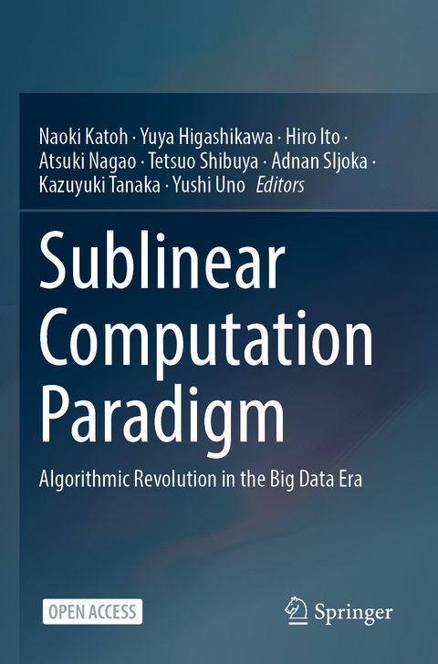 Sublinear Computation Paradigm - 