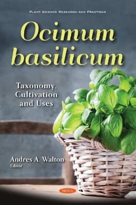 Ocimum basilicum - 