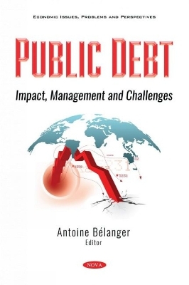 Public Debt - 
