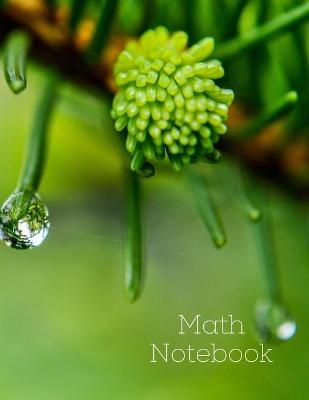 Math Notebook - Mick Wells