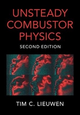 Unsteady Combustor Physics - Lieuwen, Tim C.