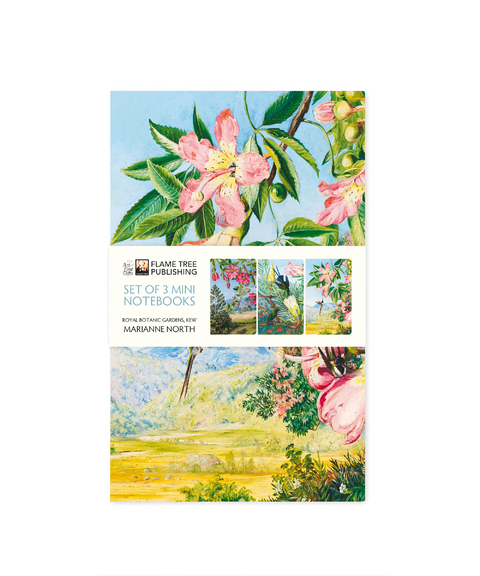 Kew Gardens: Marianne North Set of 3 Mini Notebooks - 