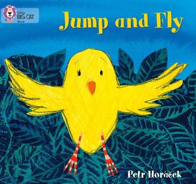 Jump and Fly - Petr Hor&aacute;ček