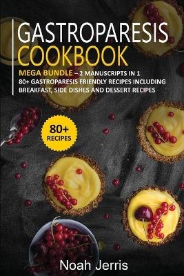 Gastroparesis Cookbook - Nomad Publishing
