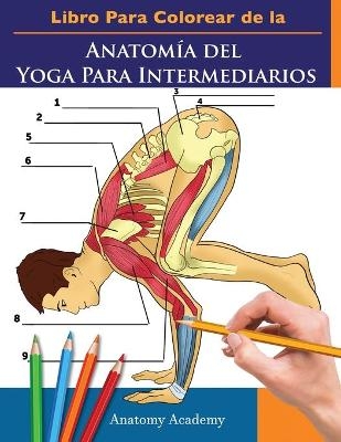 Libro Para Colorear de la Anatomía del Yoga Para Intermediarios - Anatomy Academy