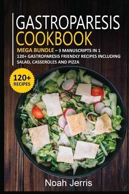 Gastroparesis Cookbook - Nomad Publishing