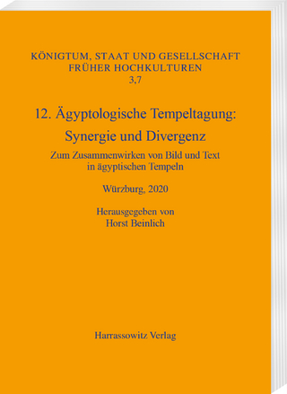 12. Ägyptologische Tempeltagung. Synergie und Divergenz