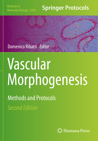 Vascular Morphogenesis
