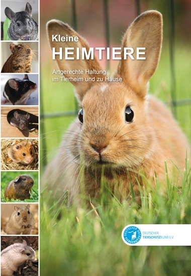 Kleine Heimtiere - Henriette Dr. Mackensen, Verena Wirosaf
