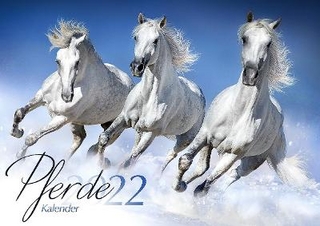 Pferde Kalender 2022