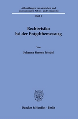 Rechtsrisiko bei der Entgeltbemessung. - Johanna Simone Friedel