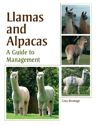 Llamas and Alpacas - Gina Bromage