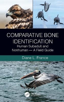 Comparative Bone Identification - Diane L. France