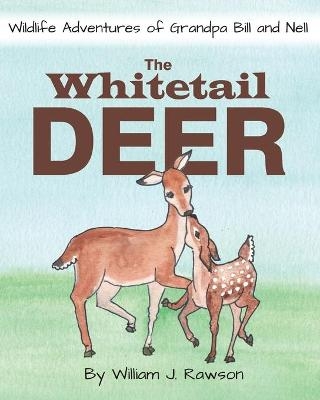 The Whitetail Deer - William J Rawson