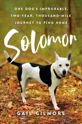 Solomon - Gail Gilmore
