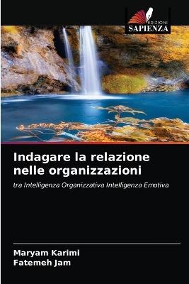 Indagare la relazione nelle organizzazioni - Maryam Karimi, Fatemeh Jam