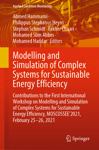 Modelling and Simulation of Complex Systems for Sustainable Energy Efficiency