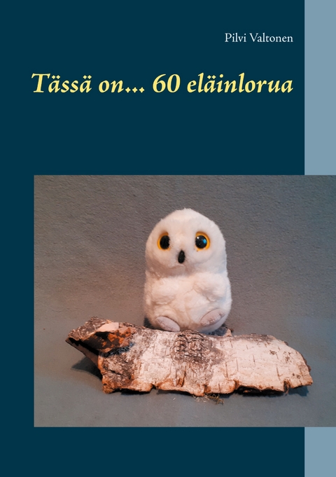 T&auml;ss&auml; on... 60 el&auml;inlorua - Pilvi Valtonen