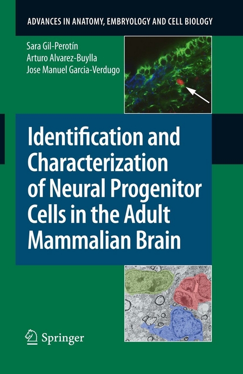 Identification and Characterization of Neural Progenitor Cells in the Adult Mammalian Brain - Sara Gil-Perot&iacute;n, Arturo Alvarez-Buylla, Jose Manuel Garcia-Verdugo
