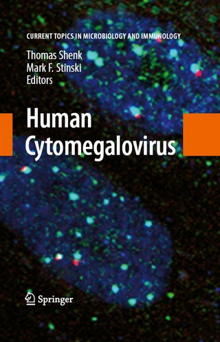 Human Cytomegalovirus