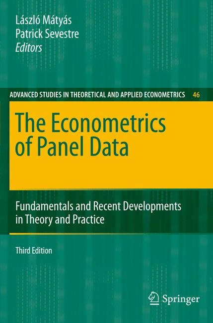 The Econometrics of Panel Data - 