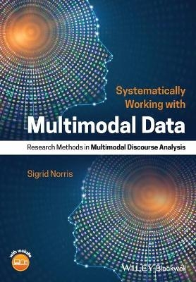 Systematically Working with Multimodal Data - Sigrid Norris