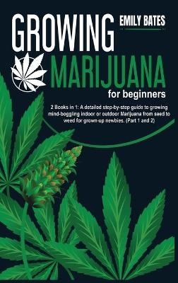 Growing Marijuana for beginners