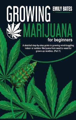 Growing Marijuana for beginners