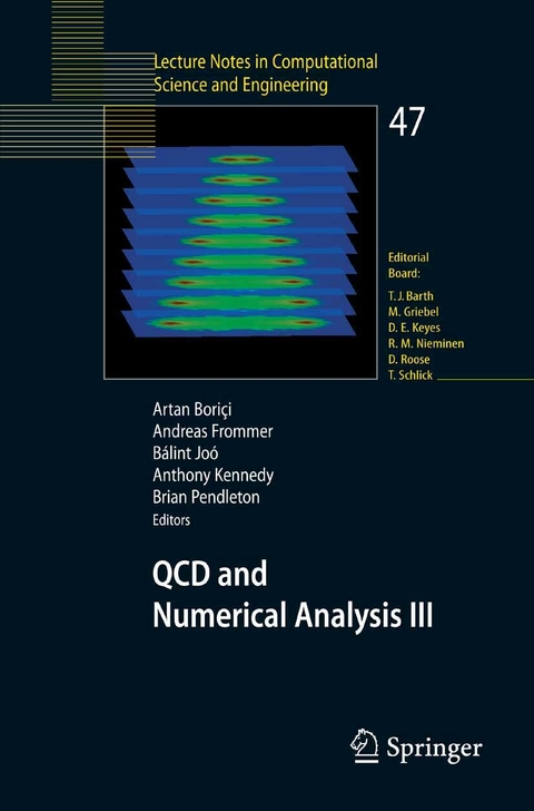 QCD and Numerical Analysis III - 