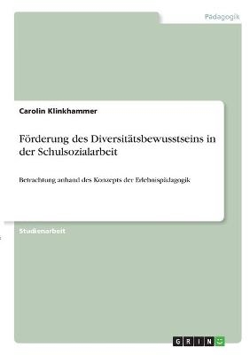 F&Atilde;&para;rderung des Diversit&Atilde;&curren;tsbewusstseins in der Schulsozialarbeit - Carolin Klinkhammer