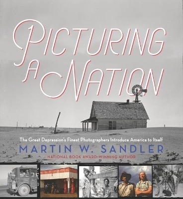Picturing a Nation: The Great Depression&rsquo;s Finest Photographers Introduce America to Itself - Martin W. Sandler