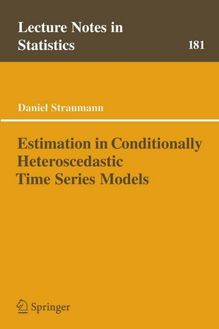 Estimation in Conditionally Heteroscedastic Time Series Models