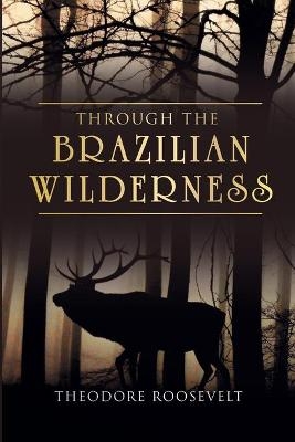 Through the Brazilian Wilderness