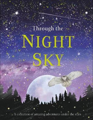 Through the Night Sky -  Dk