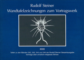 Wandtafelzeichnungen zum Vortragswerk, Bd. XXIX