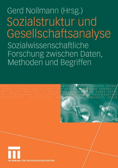 Sozialstruktur und Gesellschaftsanalyse - 
